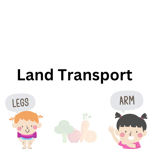 Land Transport